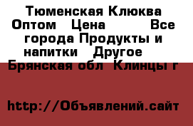 Тюменская Клюква Оптом › Цена ­ 200 - Все города Продукты и напитки » Другое   . Брянская обл.,Клинцы г.